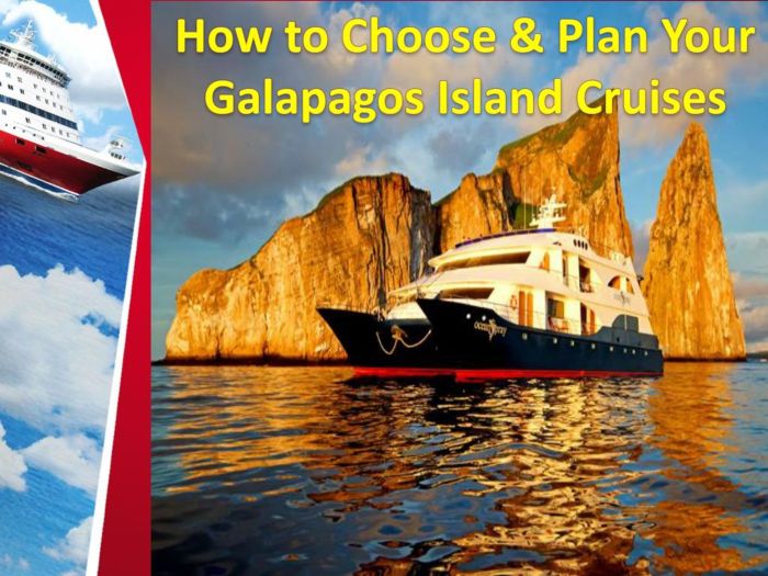 Best galapagos tours companies