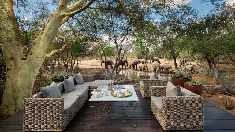 Luxury Safari Planning Guide: A 2026 Definitive Reference for High-End Expeditions