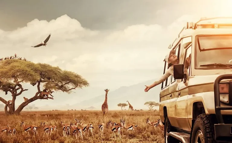 Luxury Safari Planning Guide: The 2026 Definitive Reference